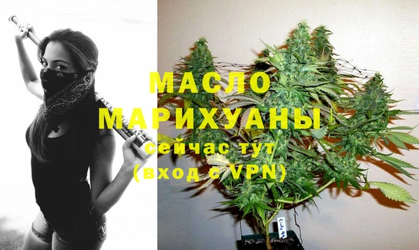 индика Горно-Алтайск