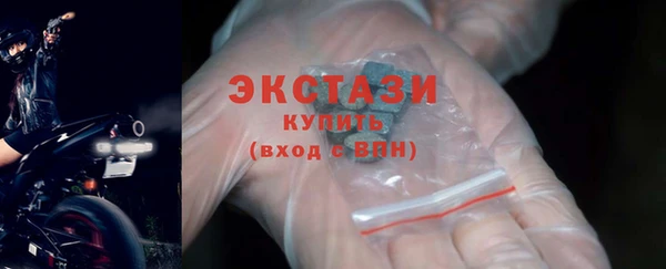 ECSTASY Гусь-Хрустальный