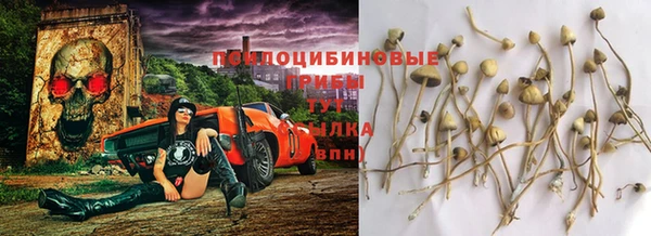 альфа пвп Горняк