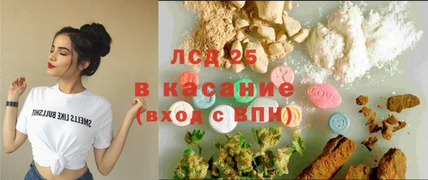 индика Горно-Алтайск