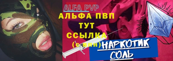 индика Горно-Алтайск
