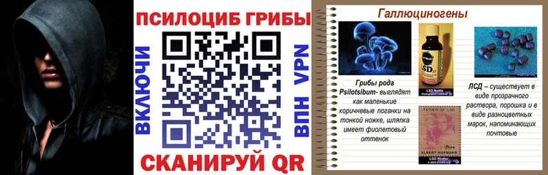 Купить где  Мглин  Галлюциногенные грибы ЛСД 